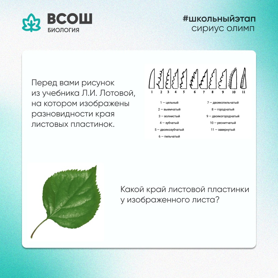 caa1qw7_02